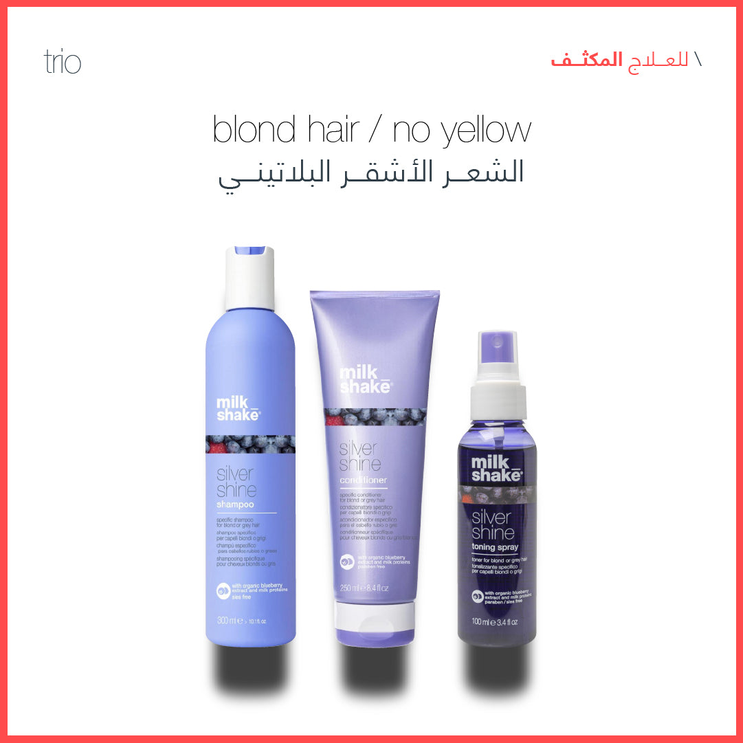 Silver Shine daily use haircare set for blonde and grey hair – Sadeen Cosmetics, Amman Jordan
