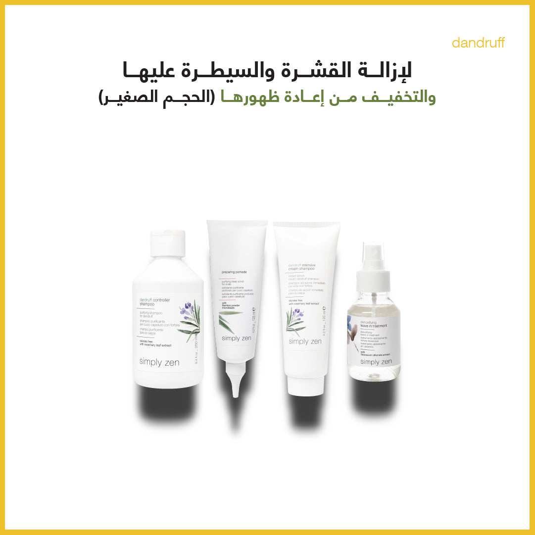 dandruff removal & detoxifying treatment combo small size - sadeenco