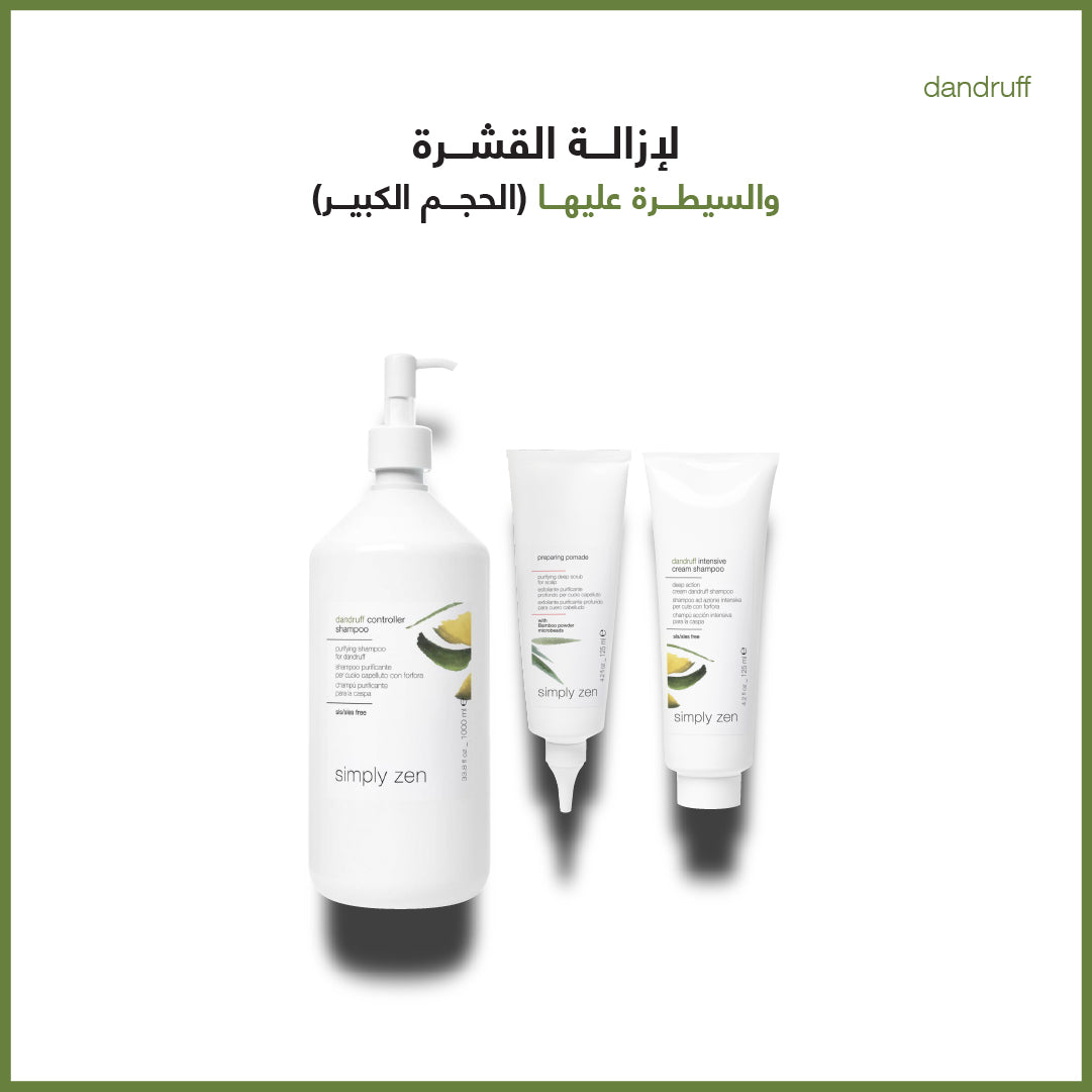 dandruff control & removal combo large size - sadeenco