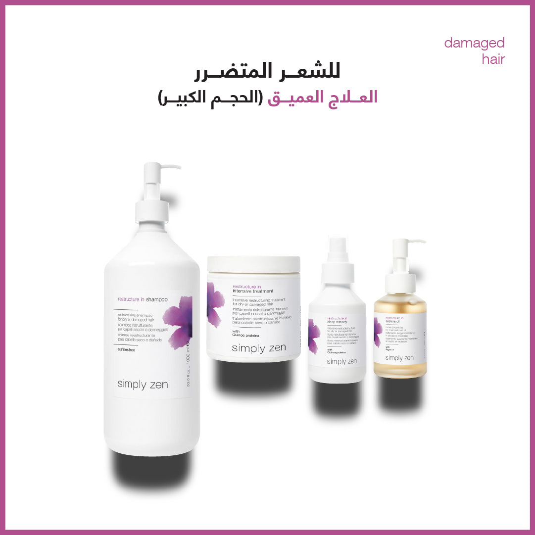deep treatment for damaged hair treatment combo (large) - sadeenco
