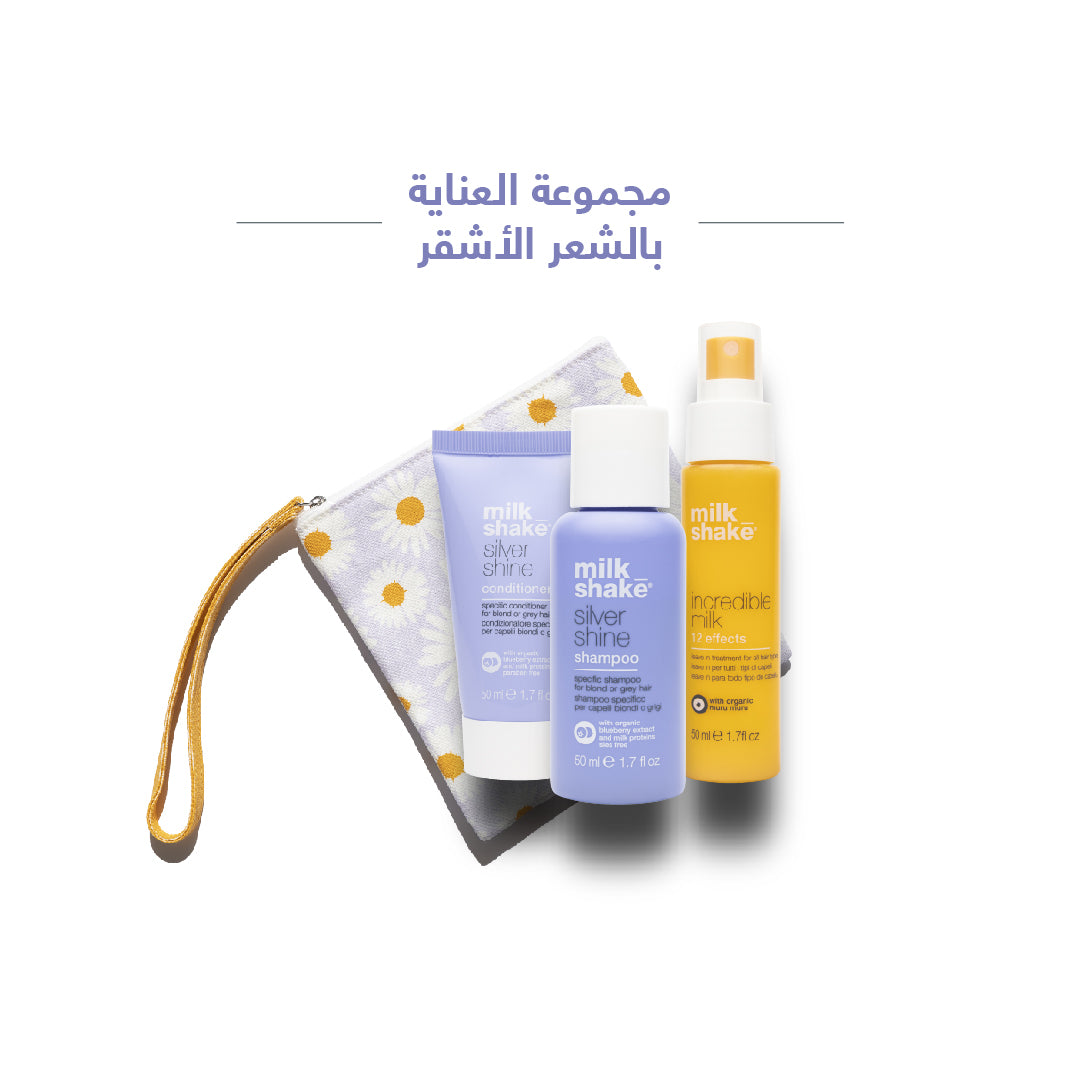 silver shine try me kit - sadeenco