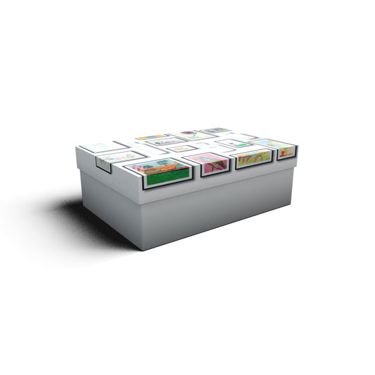 gift box - medium